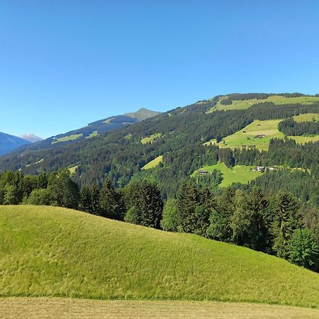 Bergappartement Kink Hopfgarten im Brixental Eksteriør billede