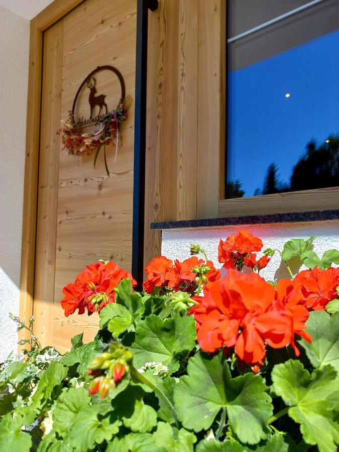 Bergappartement Kink Hopfgarten im Brixental Eksteriør billede